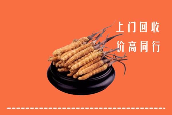 高价求购：宝安区回收散虫草